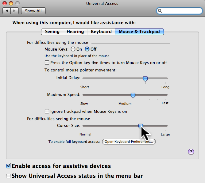 turn on enable access for assistive devices mac