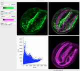 /screenshots/Larch-Mapviewer_correlation_maps.thumbnail.png